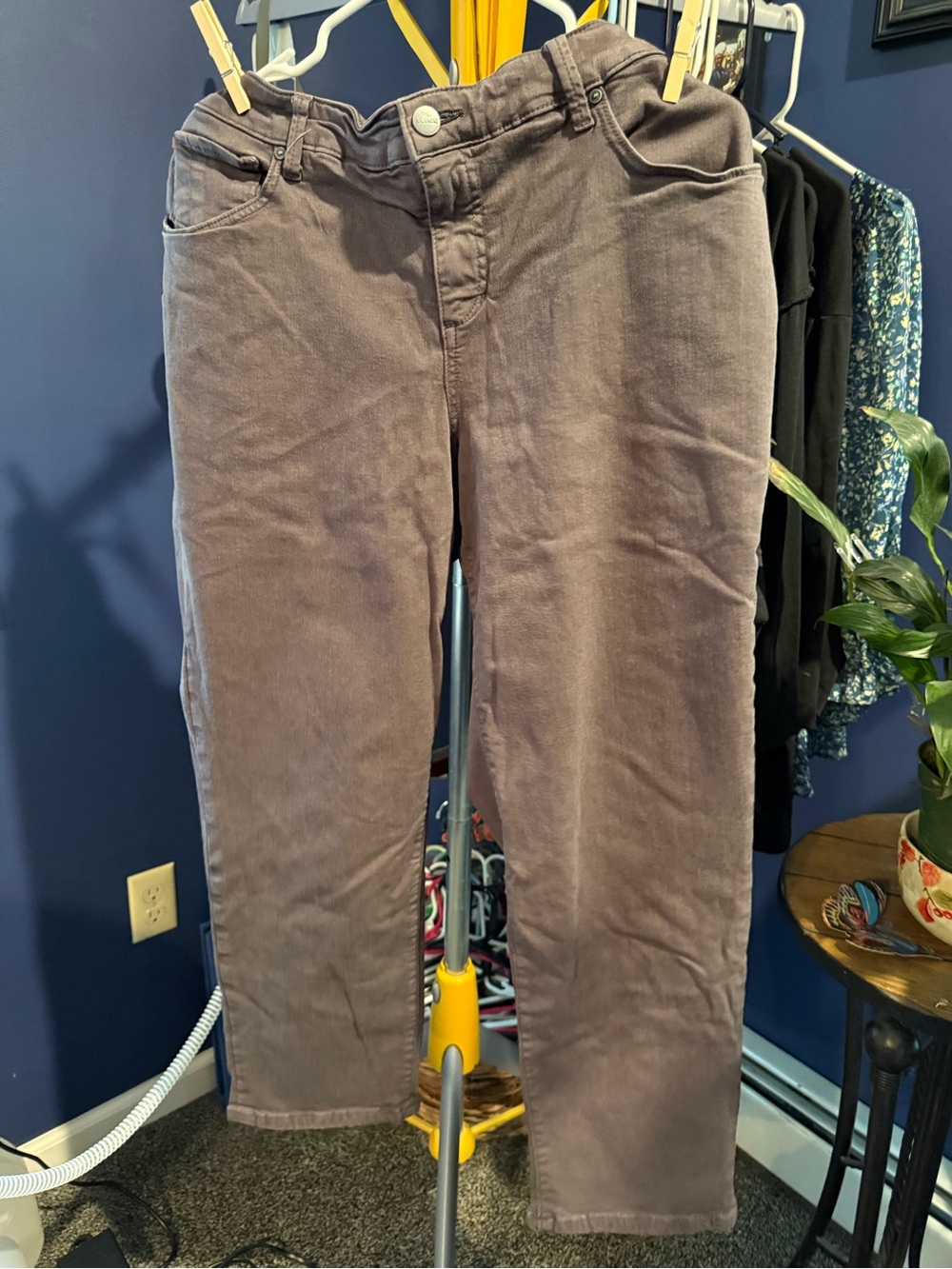 Straight-Leg Women’s Pants in Taupe